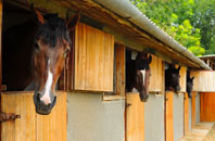 free Lower Morton stable construction quotes